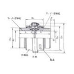 WG型鼓型齿式